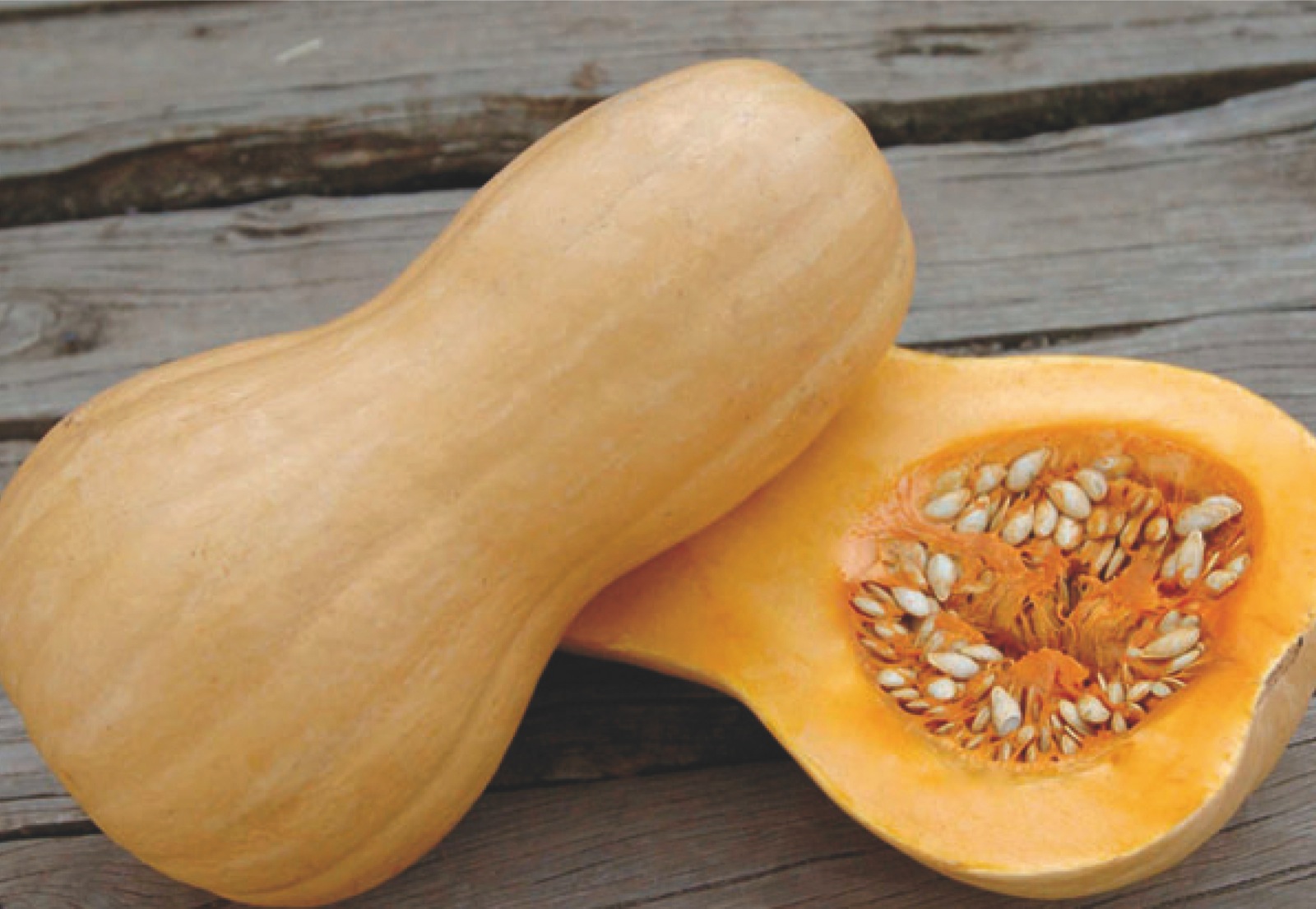 Butternut Calabaza Matilda