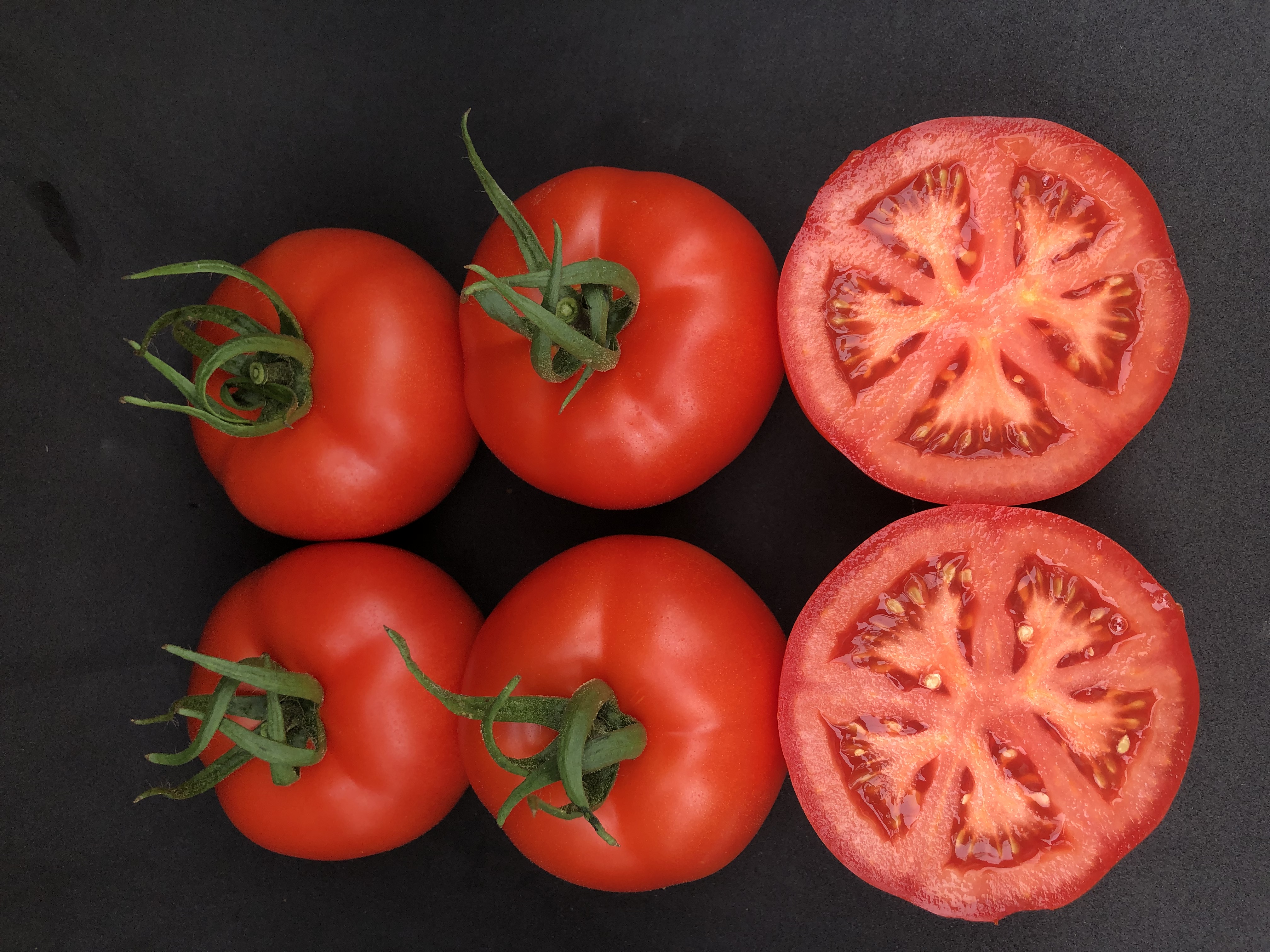 tomato graham 2