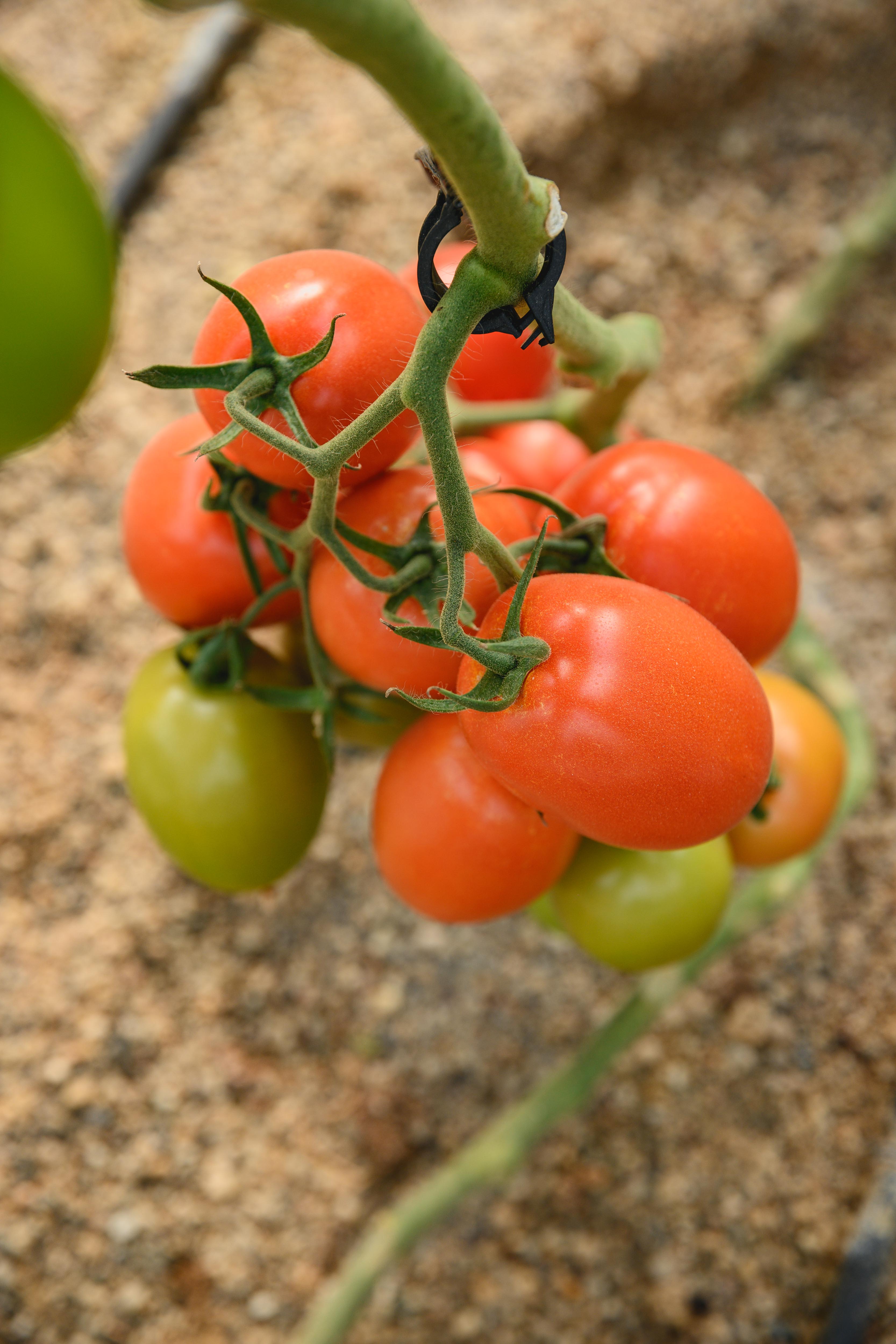 portomarin