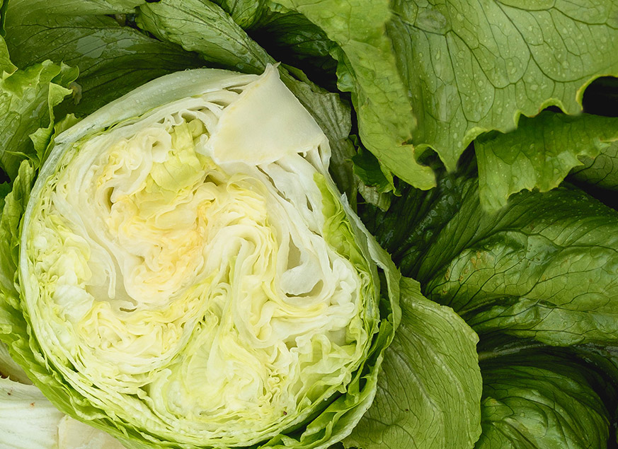 Lechuga Iceberg Marenga