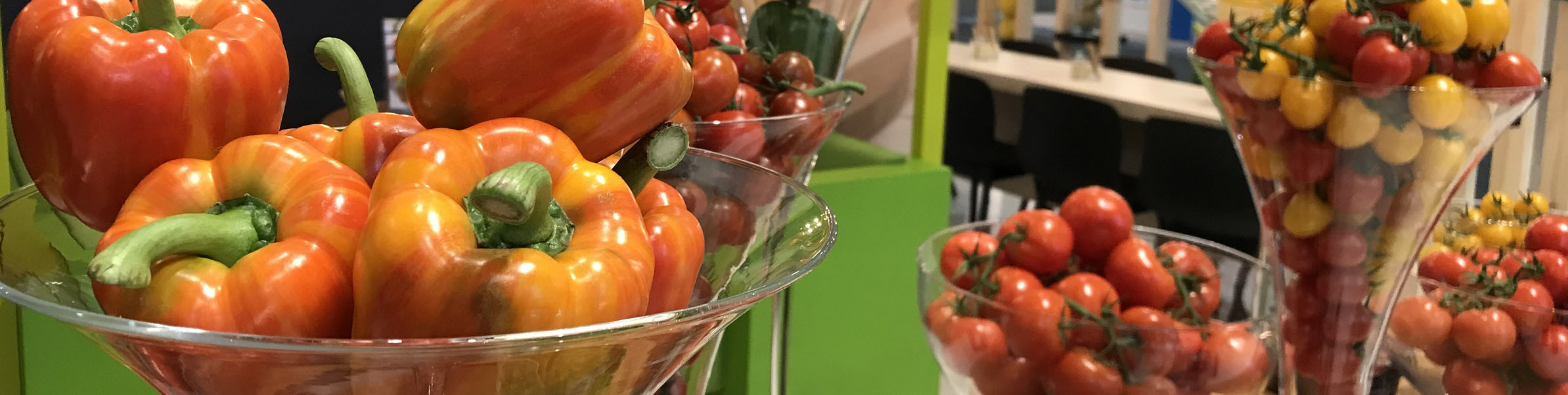 Detail of our stand at Fruit Logistica Berlin 2019