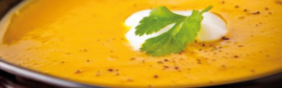 Butternut Havana