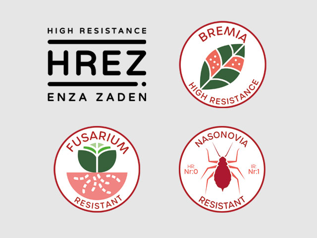 Resistance makes the Difference icon