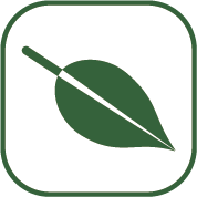 /fr/-/media/images/shared/variety-icons/012_autumn-season-icon-black.svg