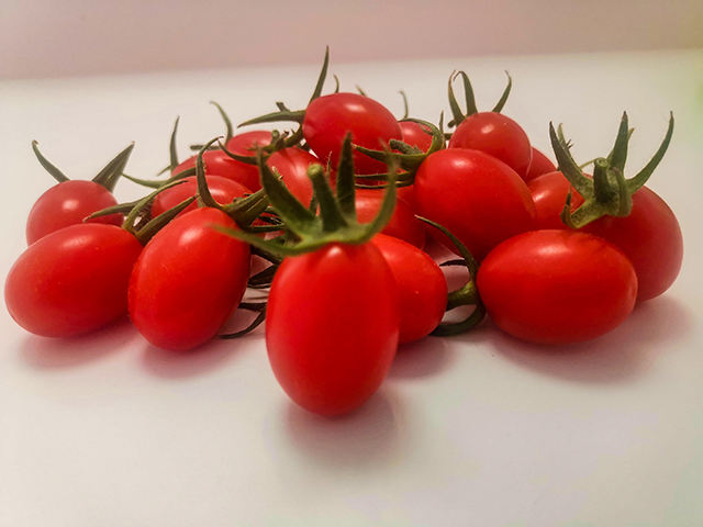 Peristera