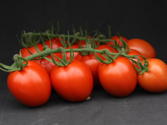 Plum tomato E15H.51357 fruit