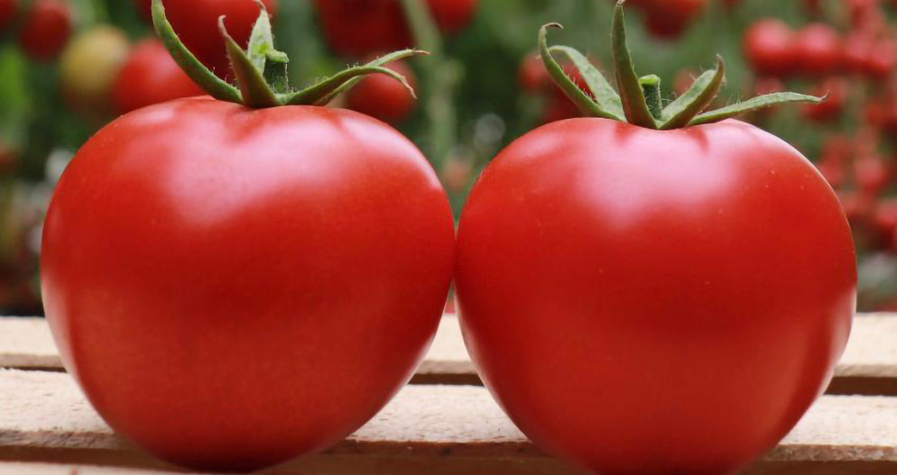 Beef tomato Farasan