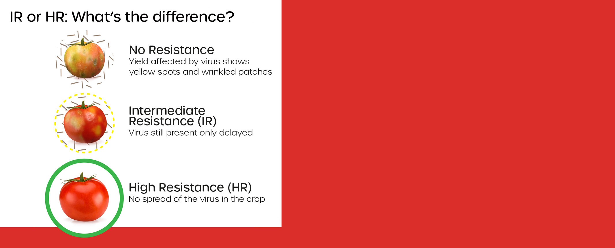 Infographic High resistance versus Intermediate resistance