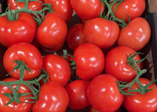 Tomate Bola Rhodium