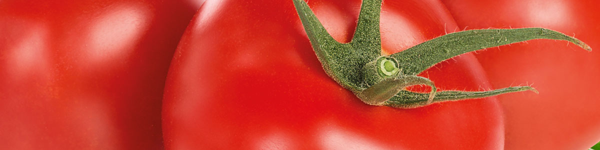 Enza Zaden: Tomates