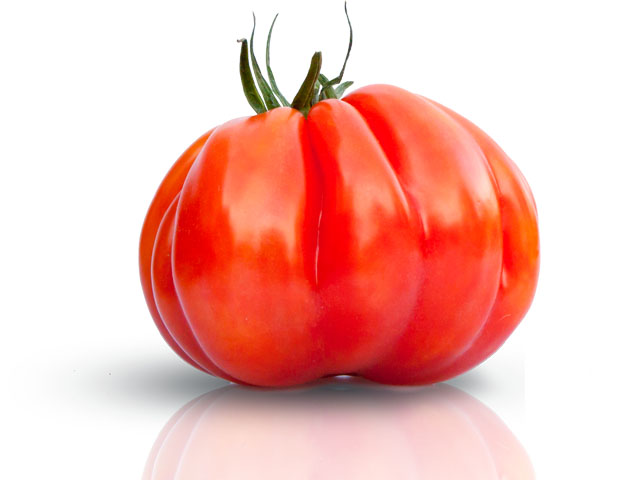 Heirloom Tomato Cubalibre