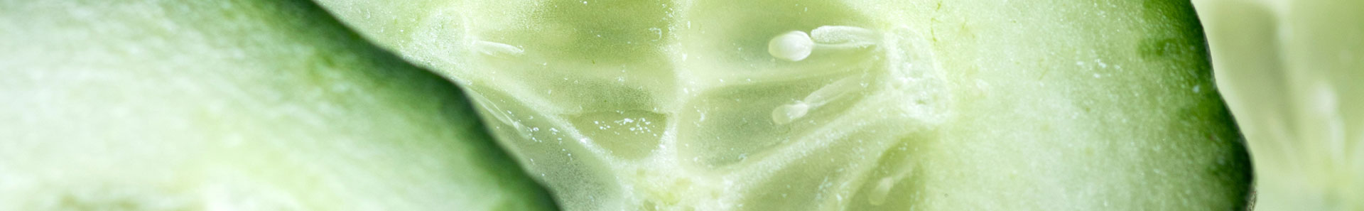 close up of cucumber slices