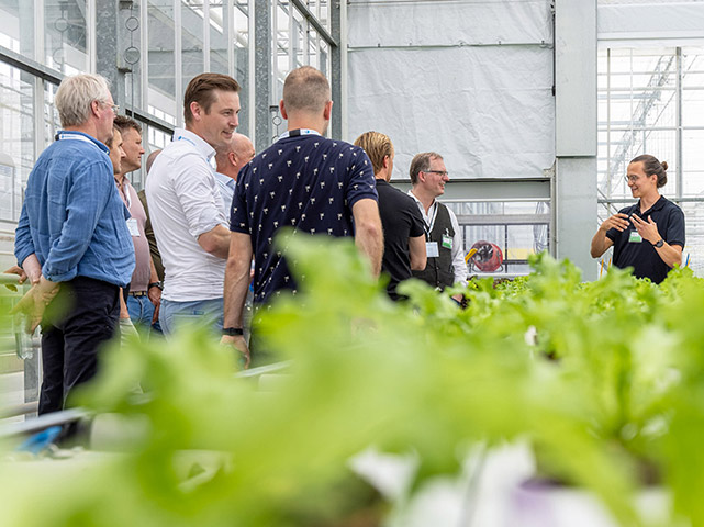 Bezoek in de hydroponic kas
