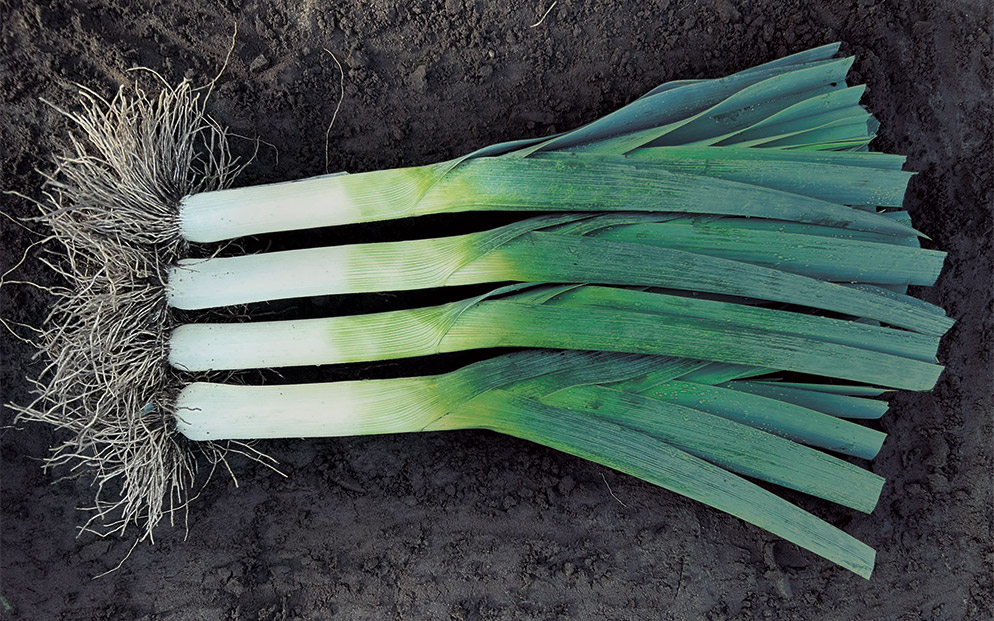 Prei E65D.108 geoogst