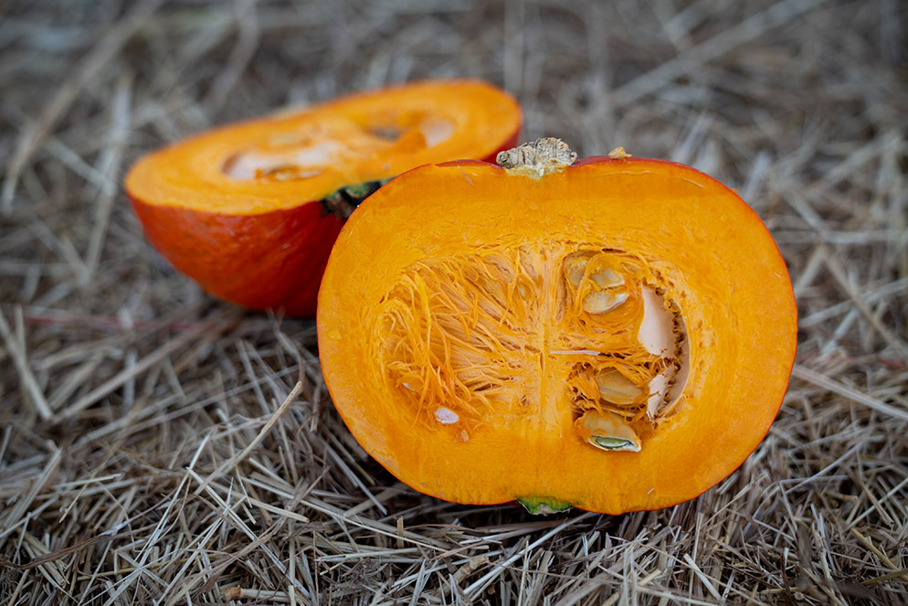 Hokkaido pompoen E30R.00148 van de binnenkant gezien