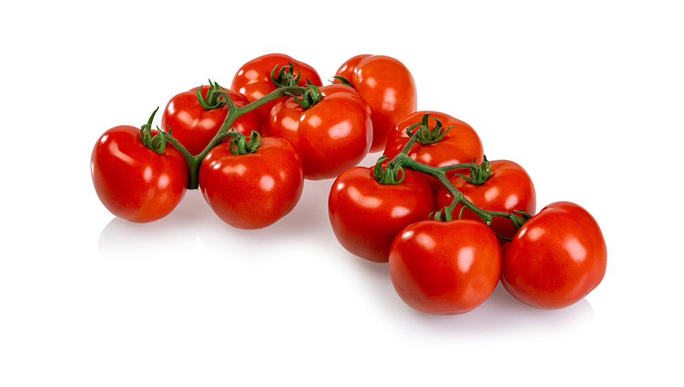 Trostomaat Fortitude met vijf en zes tomaten aan de tros