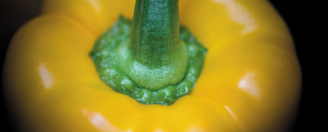 Gele blokpaprika