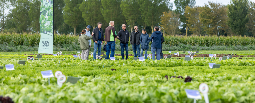 People standing in the field