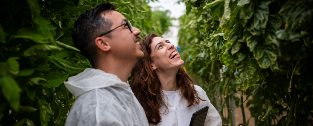 Research Development Spain - Greenhouses