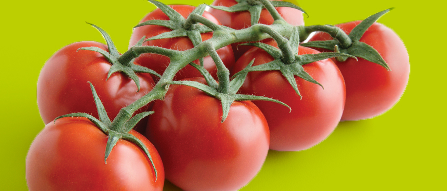 Tomatoes with green background