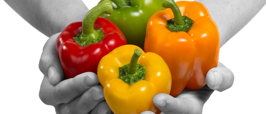 Green, red, orange and yellow sweet peppers in hands
