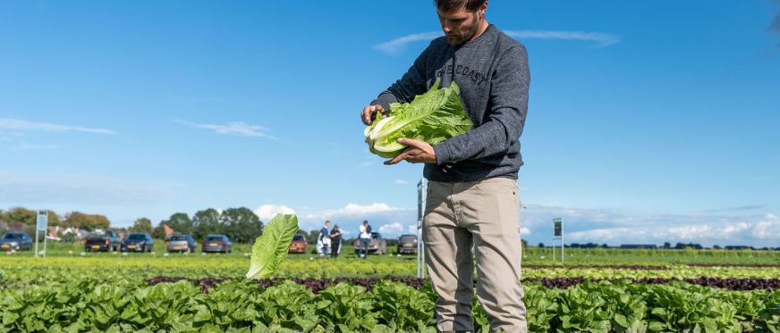 Discovery Field Days| Twisk| Enza Zaden