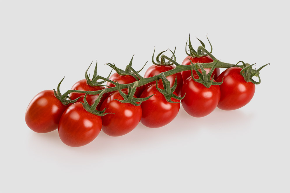 Plum tomato Ardiles Reina