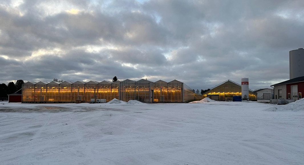 A modern greenhouse in a Nordic winter landscape with snow around the structure, soft winter light, LEDs glowing inside