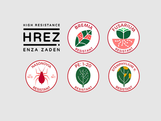 All four resistance makes the difference icons - HREZ, Bremia, Fusarium and Nasonovia