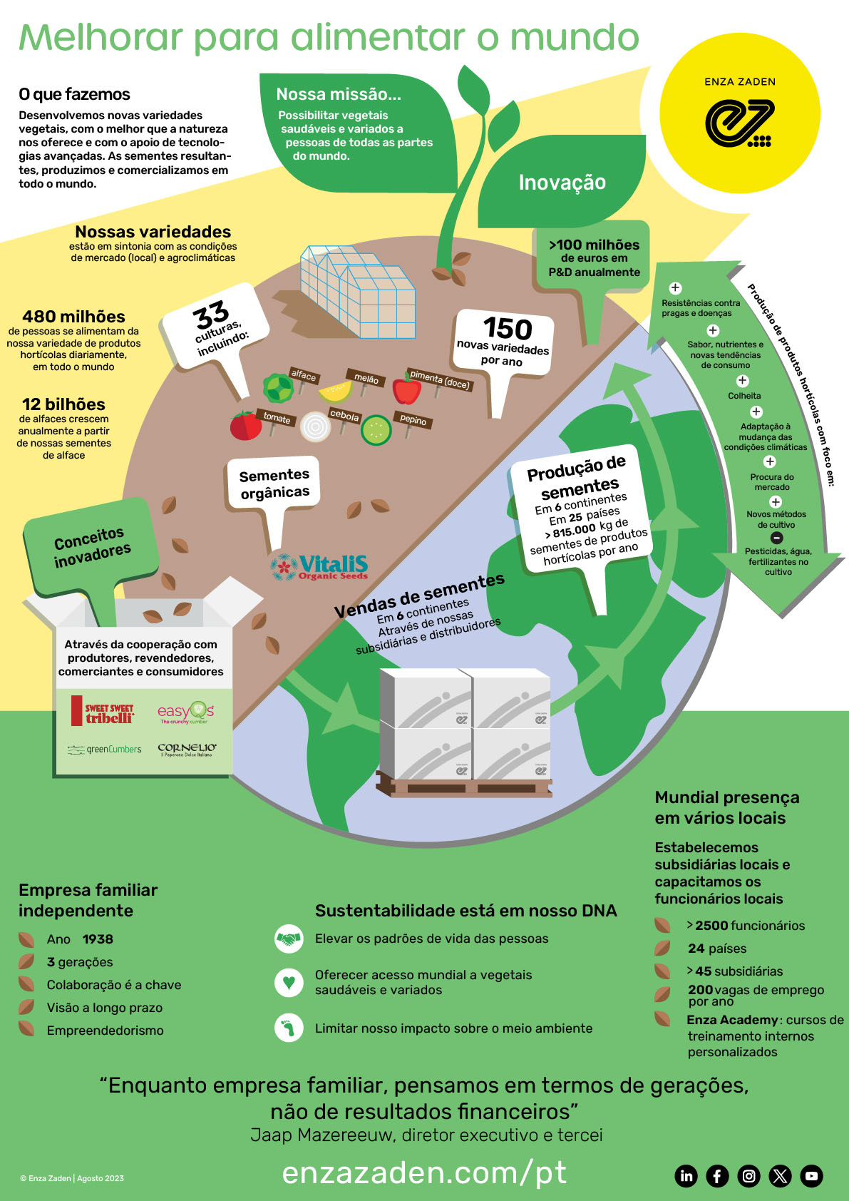 Corporate Infographic in Portuguese