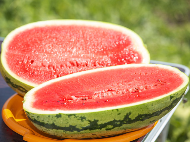 Cut fruit of tiger watermelon Tamtam F1. Розрізаний навпіл плід кавуна Тамтам F1.
