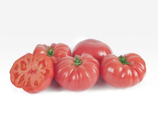 tomato vermilenza