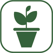 pot-production