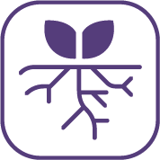 /ru/-/media/images/shared/variety-icons/031_strong-roots-black.svg