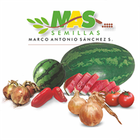 Logo Marco Antonio Sanchez Semillas y/o MAS Semillas