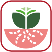 Resistente a Fol:1-4