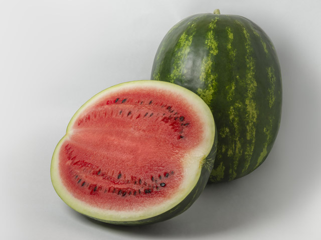 Studio photo of crimson sweet watermelon Maristo F1. Студійна фотографія кавуна типу крімсон світ Марісто F1.