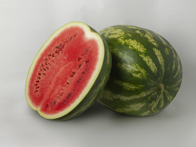Studio photo of crimson sweet watermelon Termez F1. Студійна фотографія кавуна типу крімсон світ Термез F1.