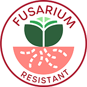 Resistance against Fusarium (Fol)