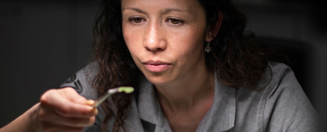 Woman holding up a pincet, looking at the leaf she holds