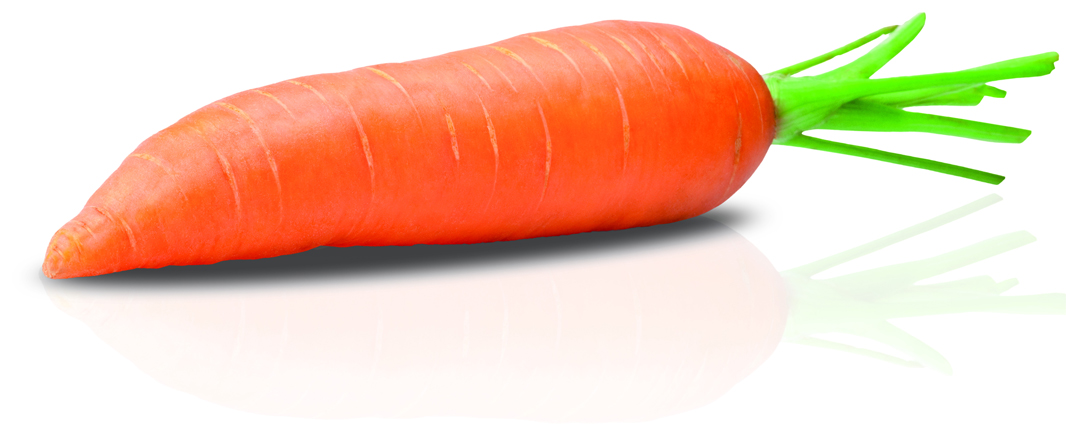 Carrot - Enza Zaden expands its product portfolio by acquiring carrot breeding program from German company Carosem