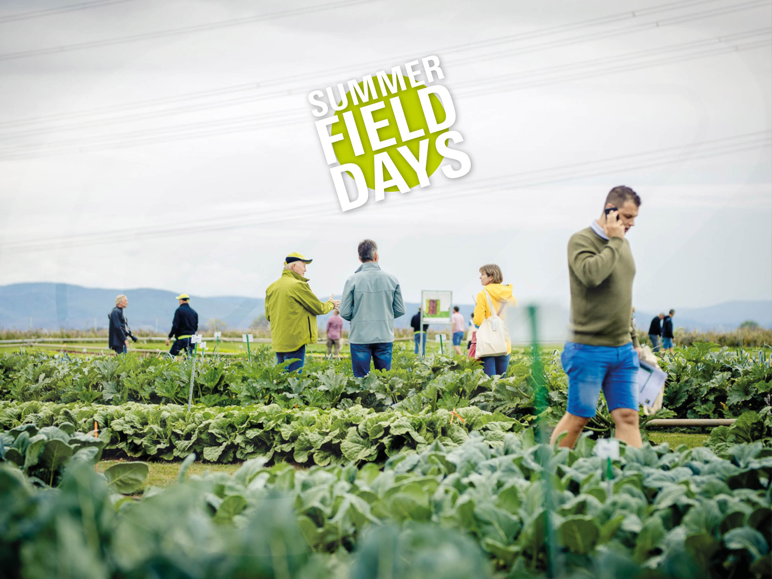 What to expect at the Summer Field Days 2022?
