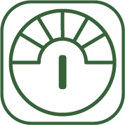 intermediate-day-onion
