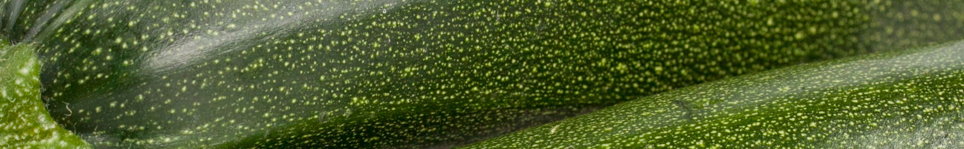 Close up of summer squash