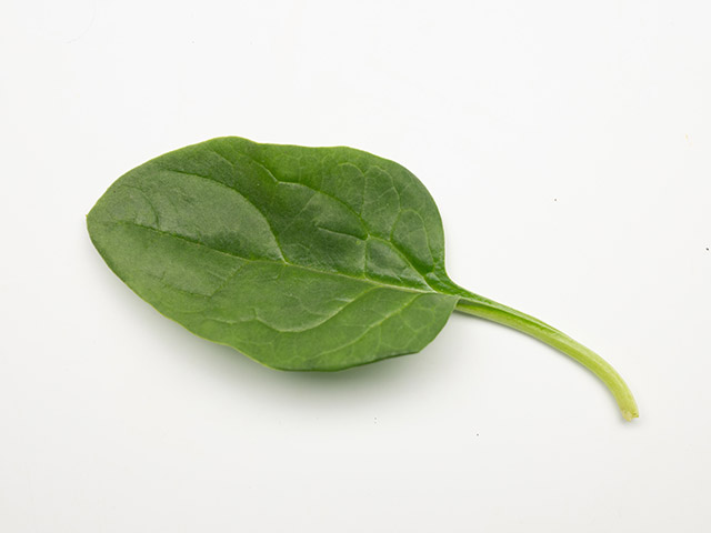 Spinach Traverse