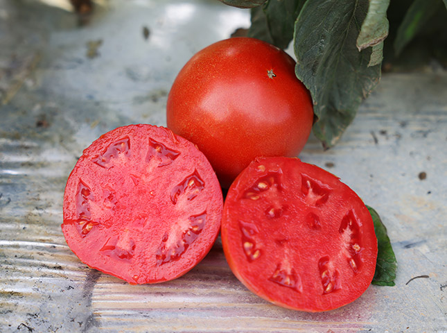 Beef tomato Lancer with cut fruit