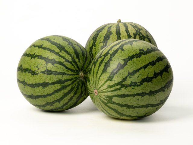 Watermelon E26C.00199