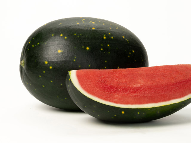 Watermelon E26S.00185 showing fruit