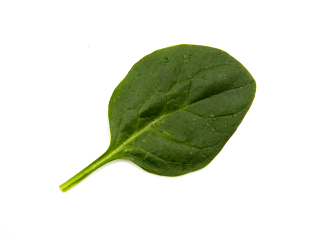 Full Circle Spinach, Chopped Same-Day Delivery or Pickup