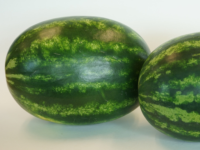 Watermelon Destination